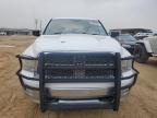 2009 Dodge Ram 1500  for Sale in San Antonio, TX - Hail