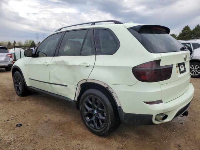  BMW X5 2013 Green