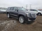 2017 Cadillac Escalade Platinum zu verkaufen in Elgin, IL - All Over
