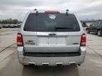 Cahokia Heights, IL에서 판매 중인 2009 Ford Escape Limited - Front End