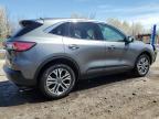 2022 Ford Escape Sel for Sale in Woodhaven, MI - Minor Dent/Scratches