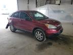 2009 Honda Cr-V Ex للبيع في Lexington، KY - Rear End
