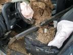 2006 Honda Ridgeline Rt for Sale in Rogersville, MO - Rollover