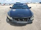 2008 Honda Accord Exl en Venta en Temple, TX - Front End