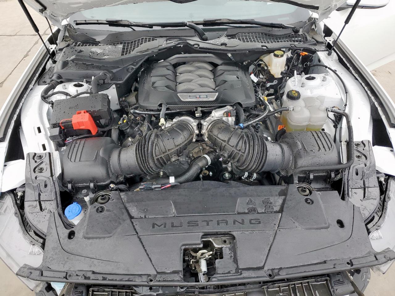 2024 Ford Mustang Gt VIN: 1FA6P8CF1R5435636 Lot: 51310285