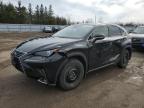 2020 LEXUS NX 300 for sale at Copart ON - TORONTO