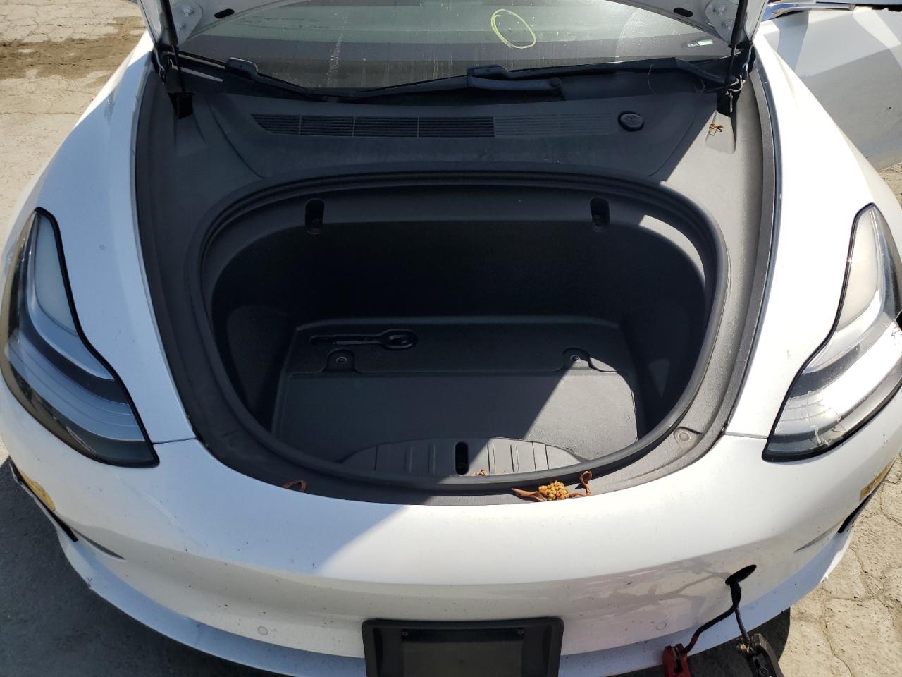 2020 Tesla Model 3 VIN: 5YJ3E1EA2LF613765 Lot: 54414935