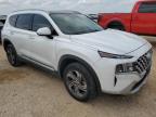2023 Hyundai Santa Fe Sel Premium للبيع في San Antonio، TX - Hail