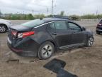 2013 Kia Optima Hybrid   for Sale in Indianapolis, IN - Front End