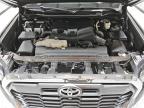 2023 Toyota Tundra Crewmax Platinum იყიდება Orlando-ში, FL - Normal Wear