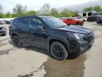 Bridgeton, MO에서 판매 중인 2024 Subaru Forester Wilderness - Hail