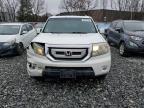 2011 Honda Pilot Exl للبيع في North Billerica، MA - Front End