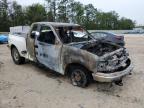 1999 Ford F150  for Sale in Midway, FL - Burn