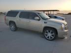 2010 Cadillac Escalade Esv Premium продається в Wilmer, TX - Hail