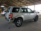 2009 Ford Escape Limited იყიდება Phoenix-ში, AZ - Rear End