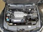 2009 Honda Accord Exl na sprzedaż w Madisonville, TN - Rear End