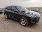 2021 Ford Escape Se for Sale in Albuquerque, NM - Rear End