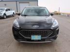 2021 Ford Escape Se for Sale in Albuquerque, NM - Rear End