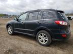 2010 Hyundai Santa Fe Limited იყიდება Columbia Station-ში, OH - Minor Dent/Scratches