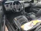 2008 Ford Mustang  en Venta en Marlboro, NY - All Over