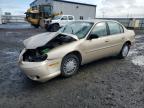 2004 Chevrolet Classic  for Sale in Airway Heights, WA - Front End