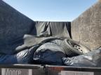 2019 Big Tex Dump Trailer for Sale in San Martin, CA - Side