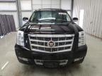 2013 Cadillac Escalade Platinum იყიდება New Braunfels-ში, TX - Side