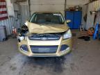 2014 Ford Escape Se for Sale in Lyman, ME - Front End