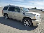 2011 Cadillac Escalade Premium продається в Airway Heights, WA - All Over