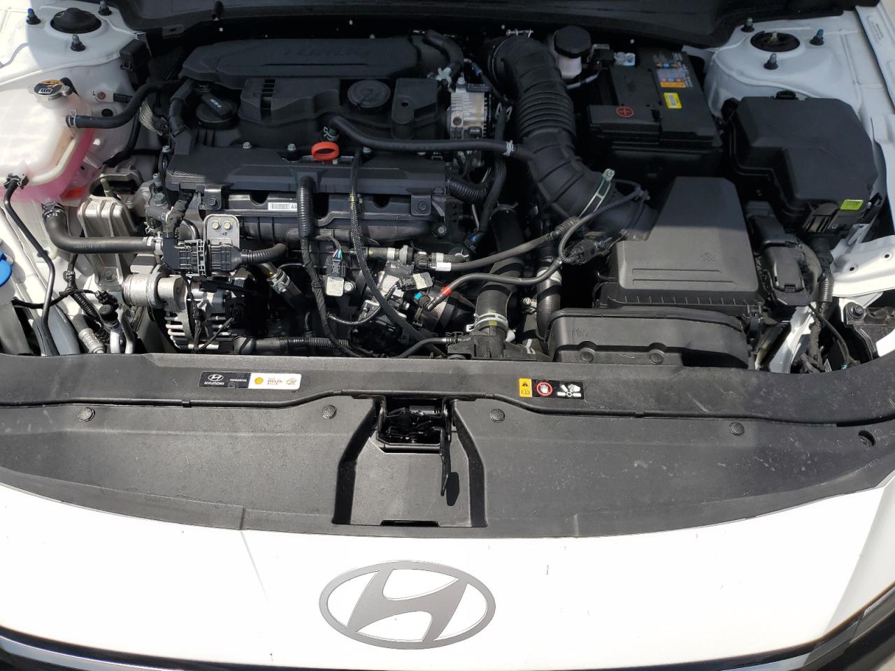 2025 Hyundai Elantra N Line VIN: KMHLR4DF4SU949843 Lot: 54450195
