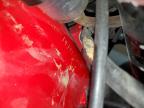 2001 HONDA CBR900 RR for sale at Copart TX - CRASHEDTOYS DALLAS