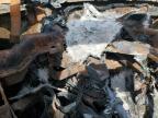 2000 Ford Econoline E250 Van de vânzare în Mocksville, NC - Burn
