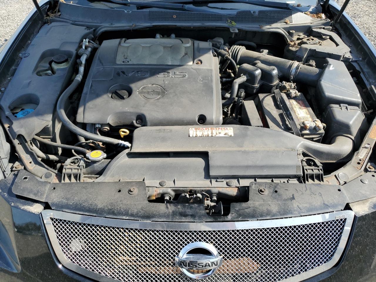 2007 Nissan Maxima Se VIN: 1N4BA41E17C841198 Lot: 54476825