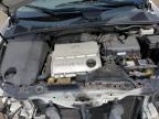 2006 Lexus Rx 330 за продажба в New Britain, CT - Front End