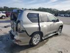 2021 Lexus Gx 460 Premium продається в Savannah, GA - Rear End