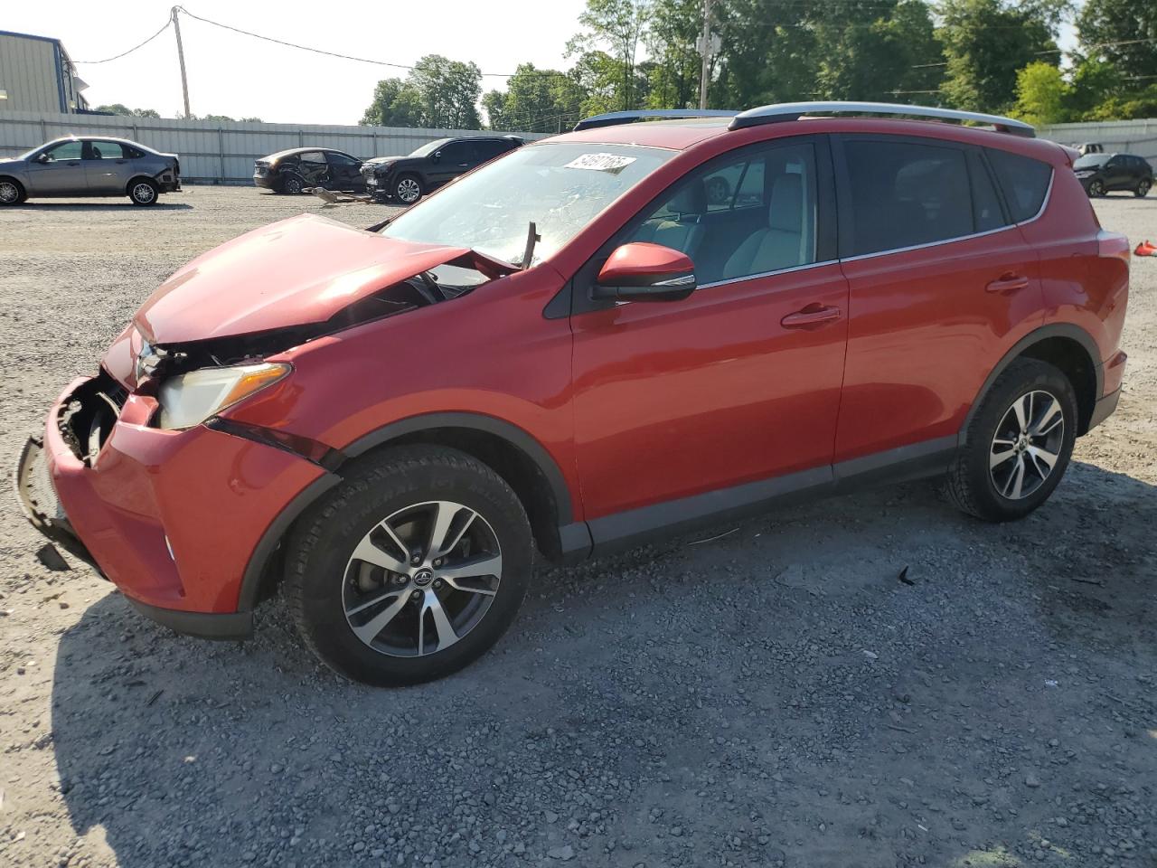 2016 Toyota Rav4 Xle VIN: 2T3RFREVXGW532490 Lot: 54697165