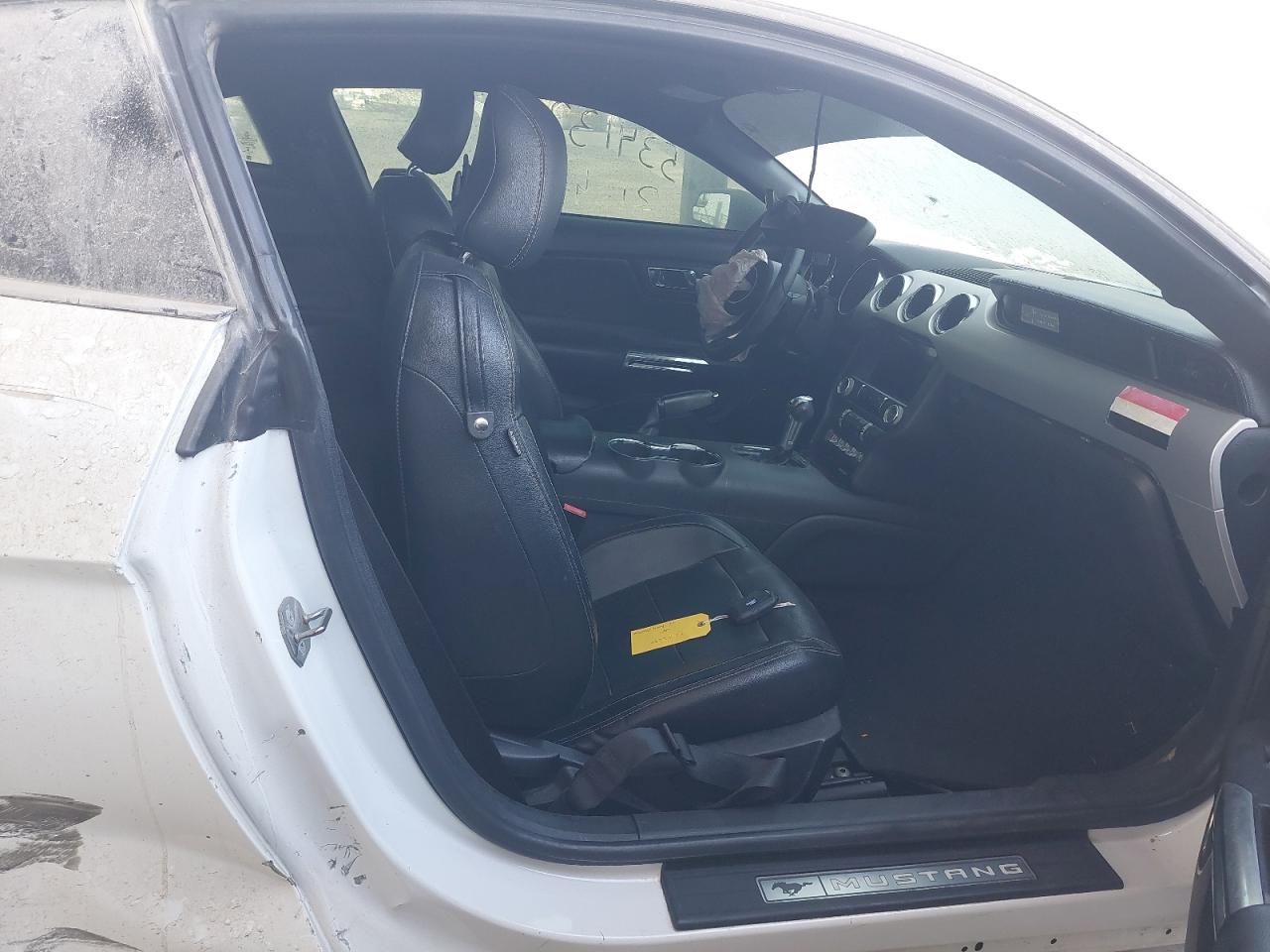 1FA6P8TH8H5295245 - 2017 Ford MUSTANG - #undefined