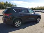 2023 Hyundai Santa Fe Sel for Sale in Exeter, RI - Front End