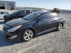 2012 Hyundai Sonata Hybrid zu verkaufen in Earlington, KY - Hail