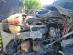 2012 Freightliner Cascadia 125  for Sale in New Orleans, LA - Normal Wear