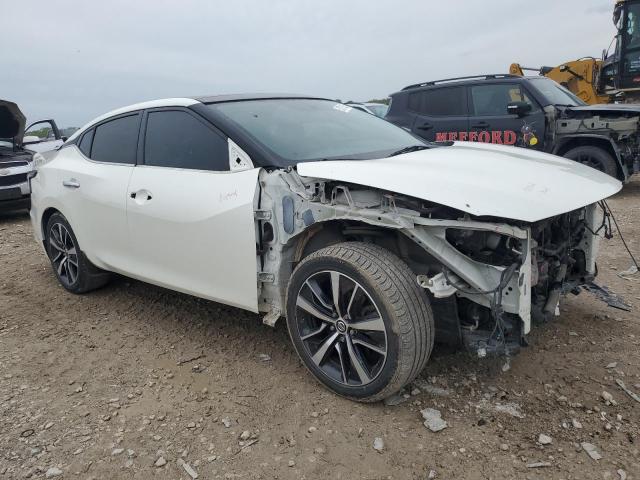 NISSAN MAXIMA 2019 Белы