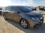 2018 Honda Odyssey Ex продається в San Antonio, TX - Hail