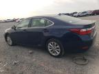 2014 Lexus Es 300H იყიდება Earlington-ში, KY - Hail