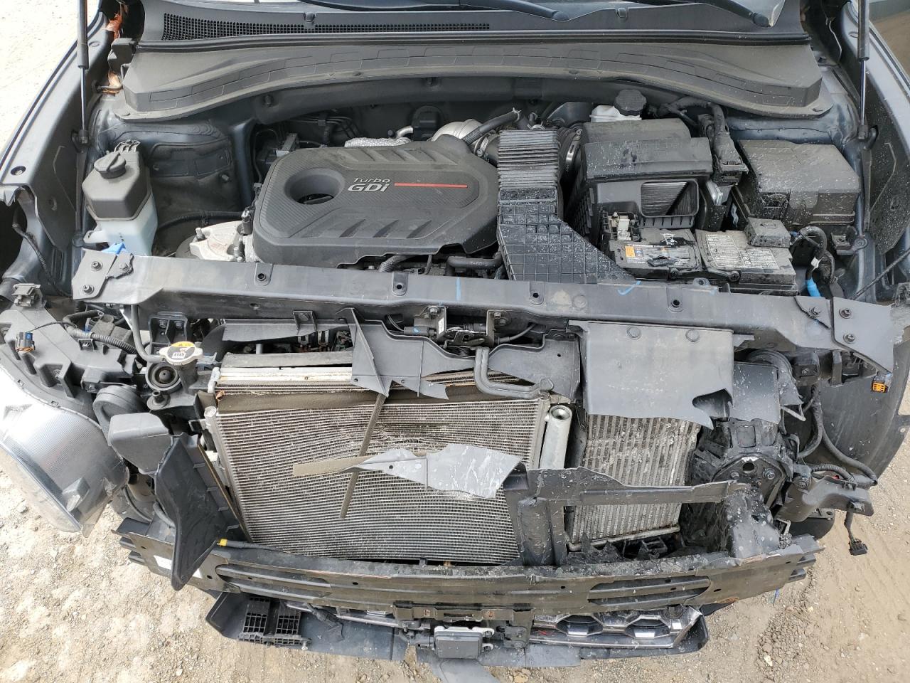 2020 Hyundai Santa Fe Limited VIN: 5NMS5CAA8LH234412 Lot: 53755275
