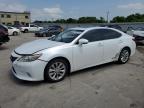 2013 Lexus Es 300H იყიდება Wilmer-ში, TX - Front End