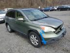 2007 Honda Cr-V Exl zu verkaufen in Marlboro, NY - Front End