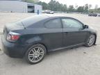 2008 Toyota Scion Tc  იყიდება Hampton-ში, VA - All Over