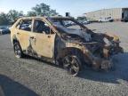2023 Toyota Rav4 Xle for Sale in Orlando, FL - Burn