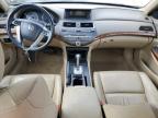 2010 Honda Accord Exl للبيع في Memphis، TN - Rear End