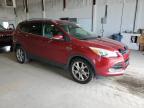 2015 Ford Escape Titanium zu verkaufen in Lexington, KY - Hail